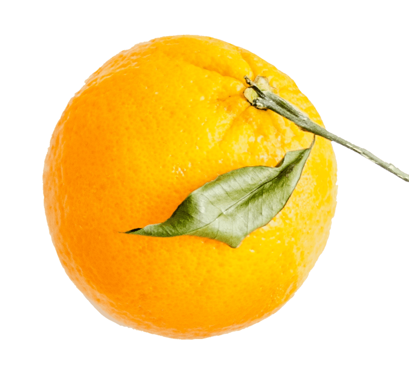 orange-33