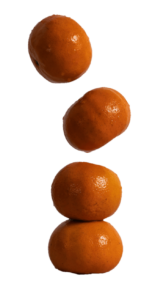 Orange Fruits PNG
