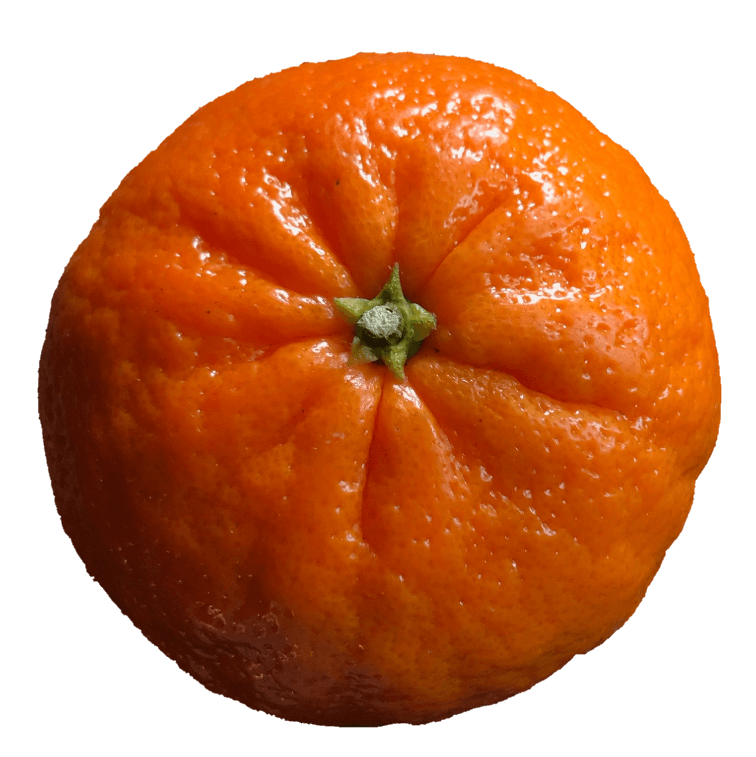 orange-4-1