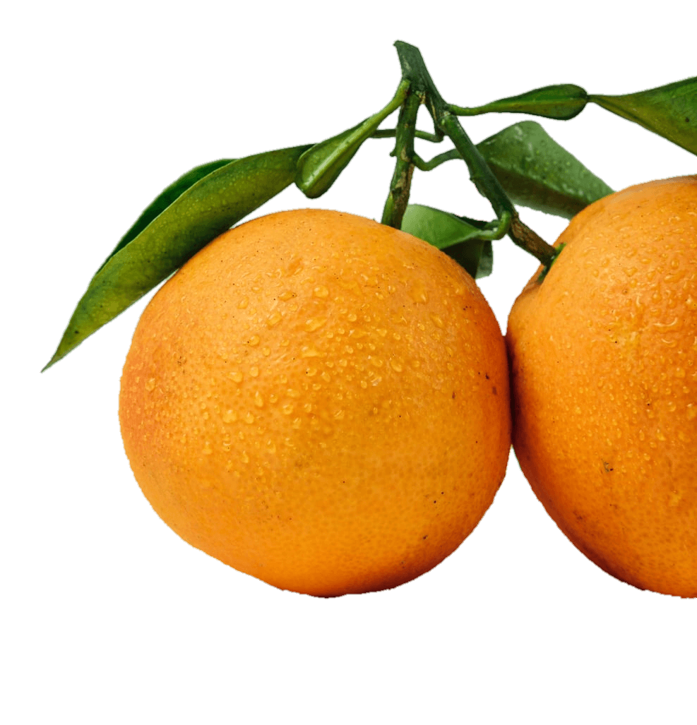 orange-43