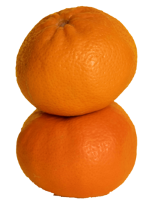 Orange Fruits PNG