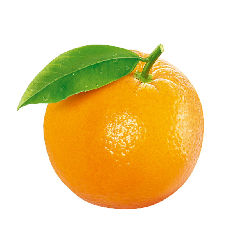 orange-66