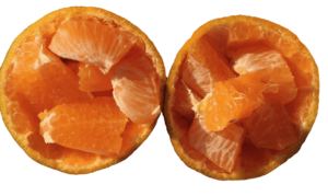 Transparent Orange Fruit PNG