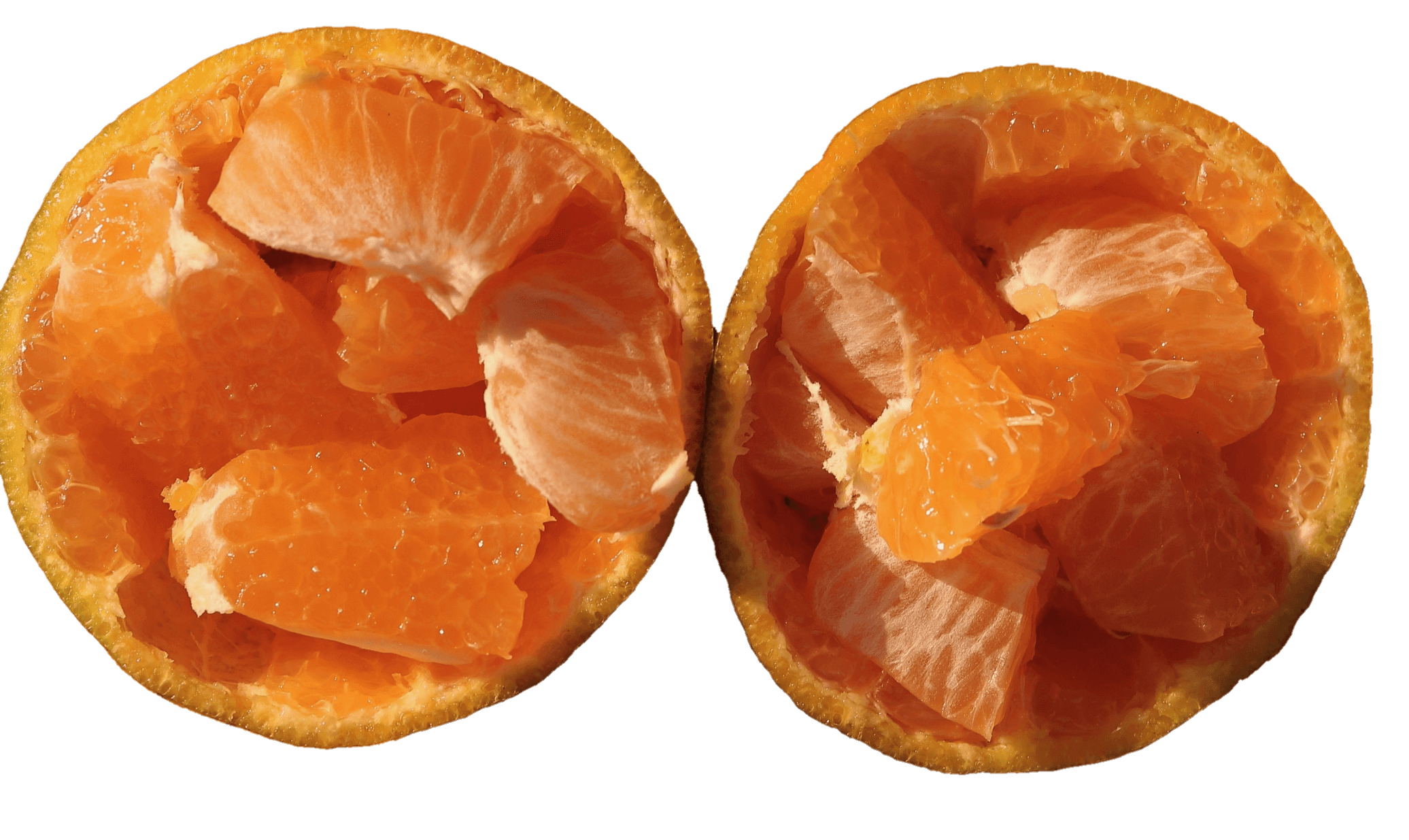 orange-7