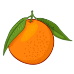 Orange Png Transparent Image