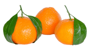 HD Orange Fruit PNG