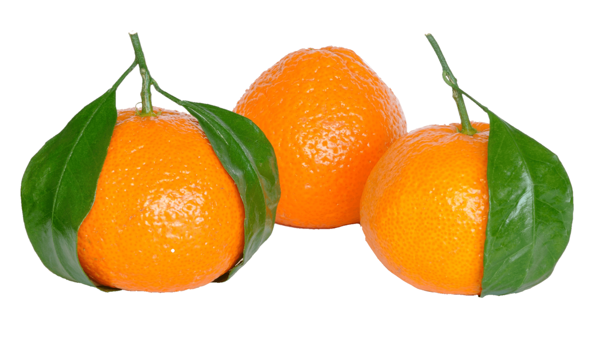 orange-8