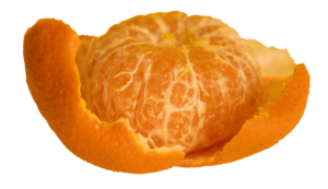 Free Orange Fruit PNG