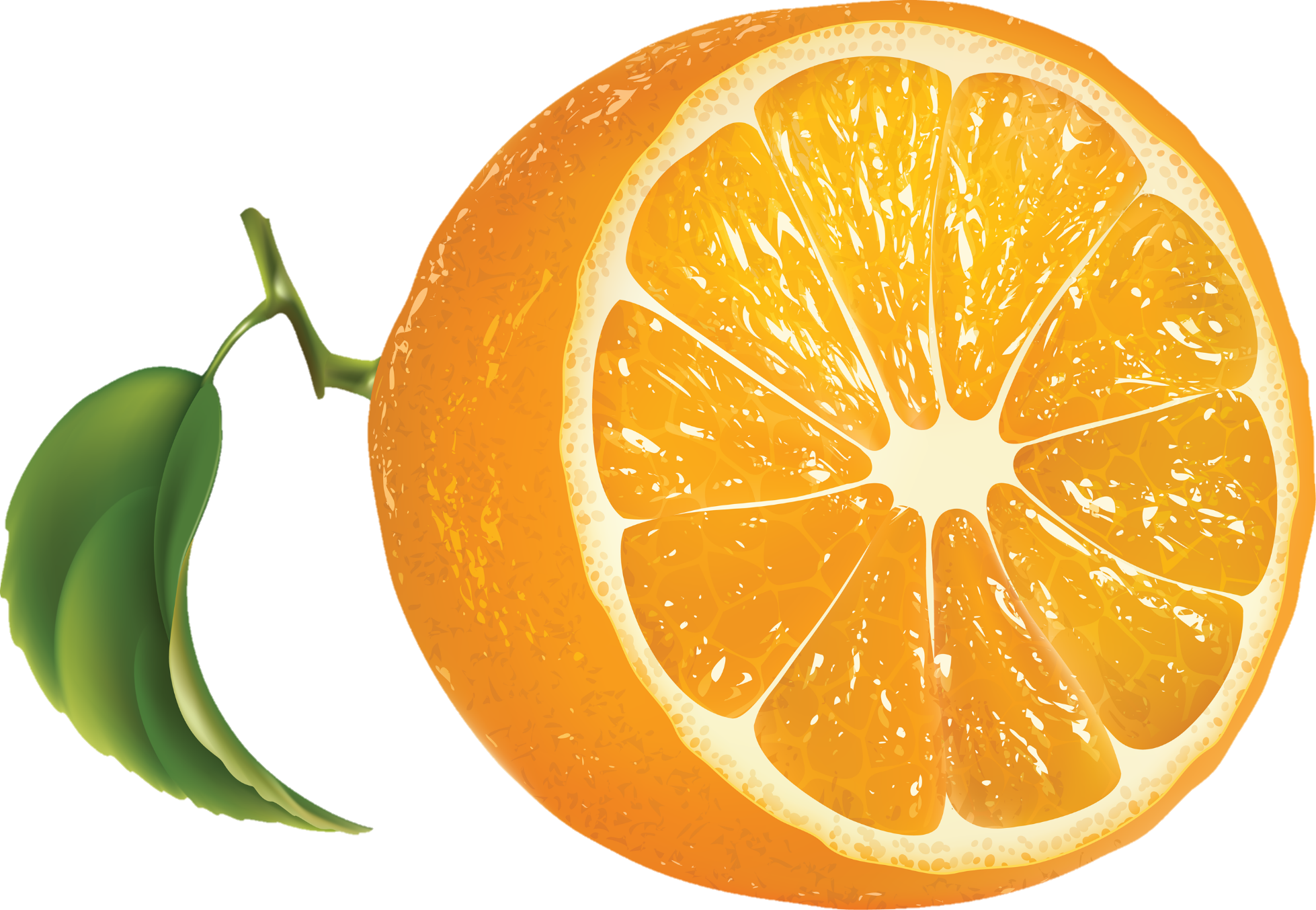 orange-png-from-pngfre-1