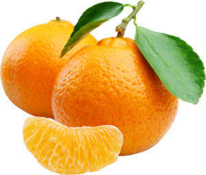 Real Orange Fruit Png