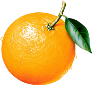 Orange Fruit Png Clipart