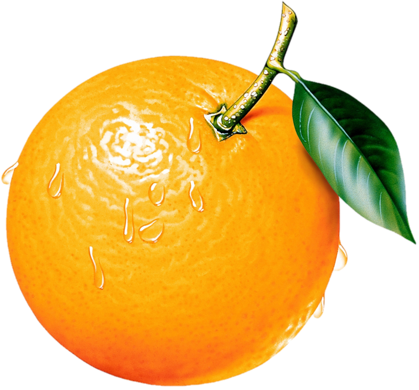 orange-png-from-pngfre-11