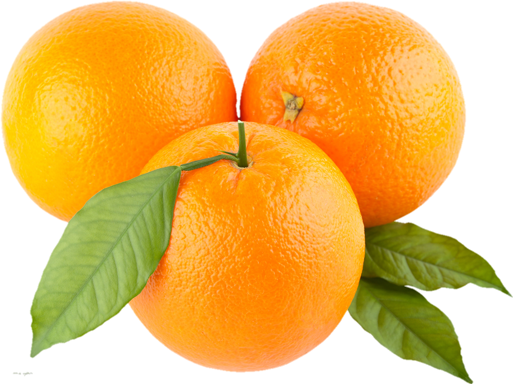 orange-png-from-pngfre-13