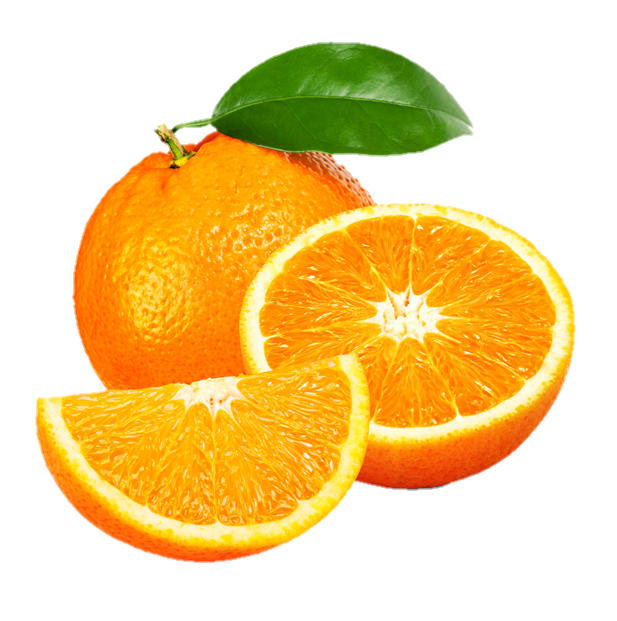 orange-png-from-pngfre-15