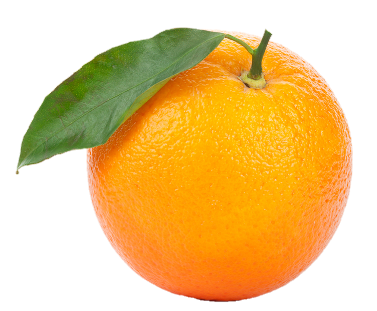 orange-png-from-pngfre-16