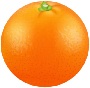 Round Orange Fruit Png vector