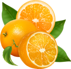Orange Fruit Png Vector