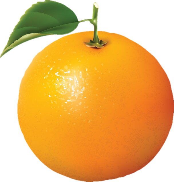 orange-png-from-pngfre-19