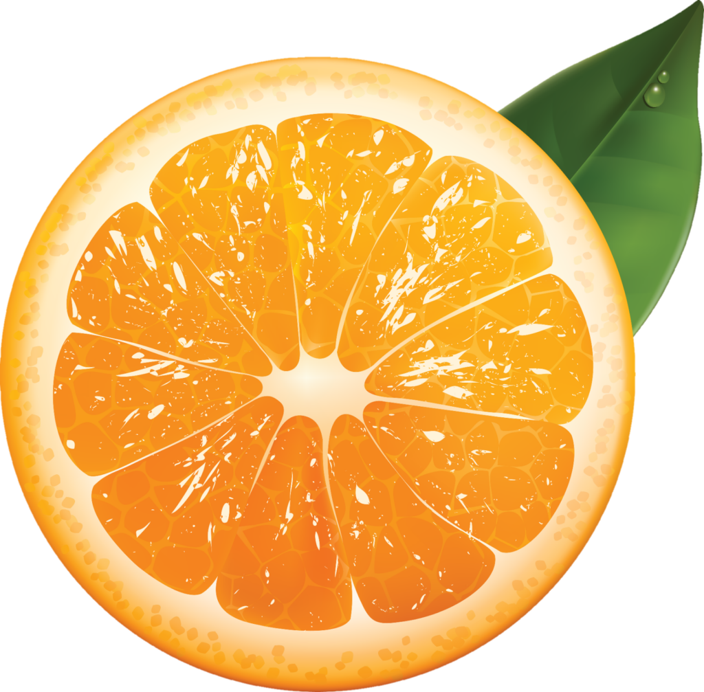 Fresh Orange PNG Image, Orange Flowers Beautiful Fresh Trunk, Hand Painted,  Illustration, Plant PNG Image For Free Download