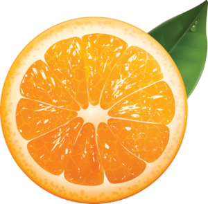 Half Orange Fruit Png vector