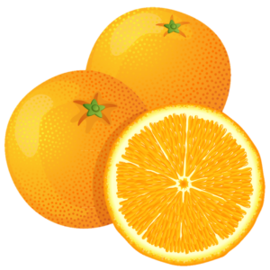 Orange Fruits Png Vector
