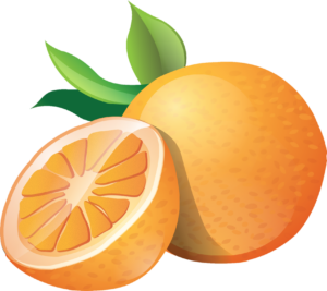 Orange Fruit vector Png
