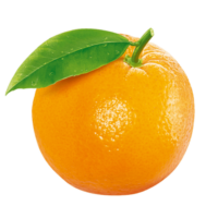 Orange Png Image