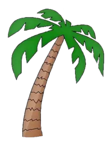 Palm Tree Png Image From Pngfre 12 218x300 