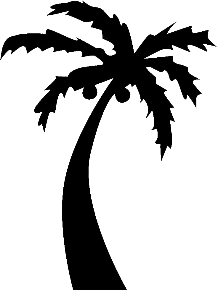 palm-tree-png-image-from-pngfre-17