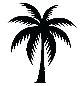 Silhouette Palm Tree Png