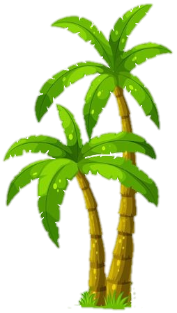 palm-tree-png-image-from-pngfre-20