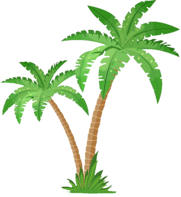 palm-tree-png-image-from-pngfre-22-1