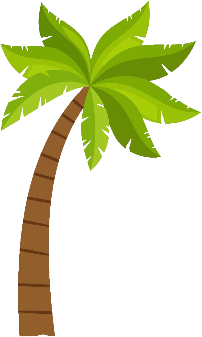 palm-tree-png-image-from-pngfre-25