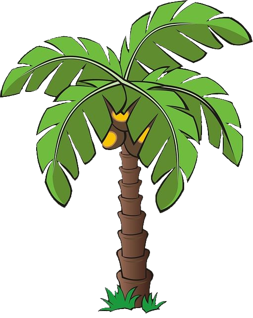 palm-tree-png-image-from-pngfre-36