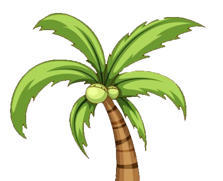 palm-tree-png-image-from-pngfre-37