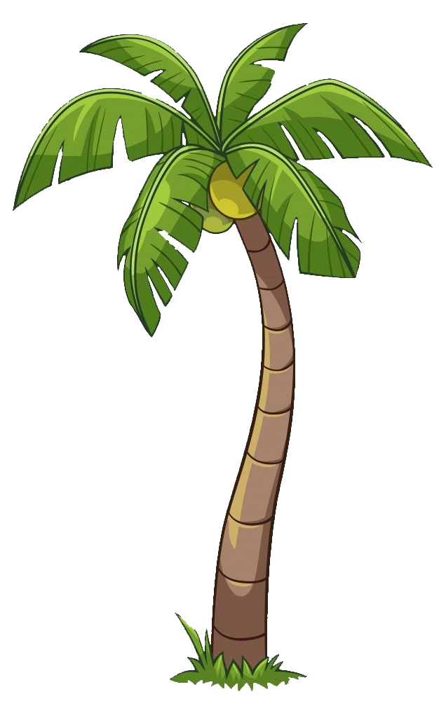 Palm Tree Png Clipart