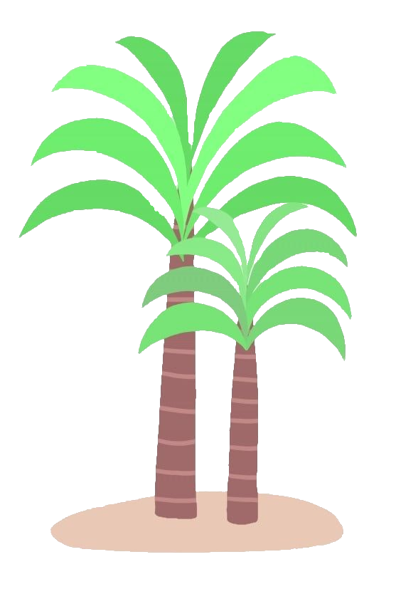 Palm Tree Png Vector