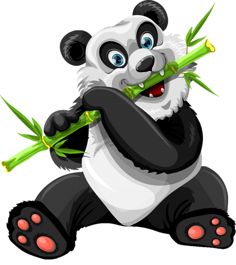 Bamboo Panda Png