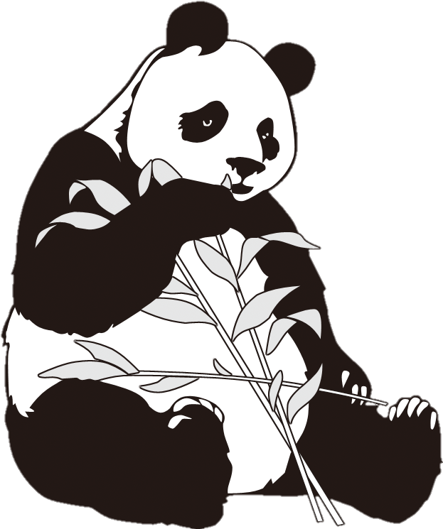 Drawing Panda Png