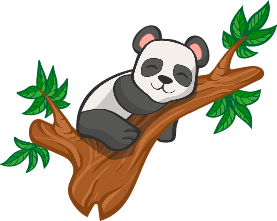 Panda Desenho Cartoon PNG Transparente [download] - Designi