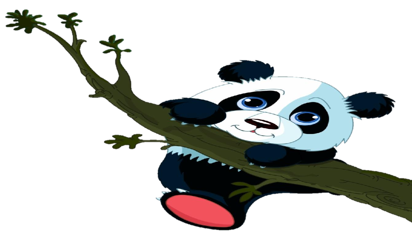 panda-8