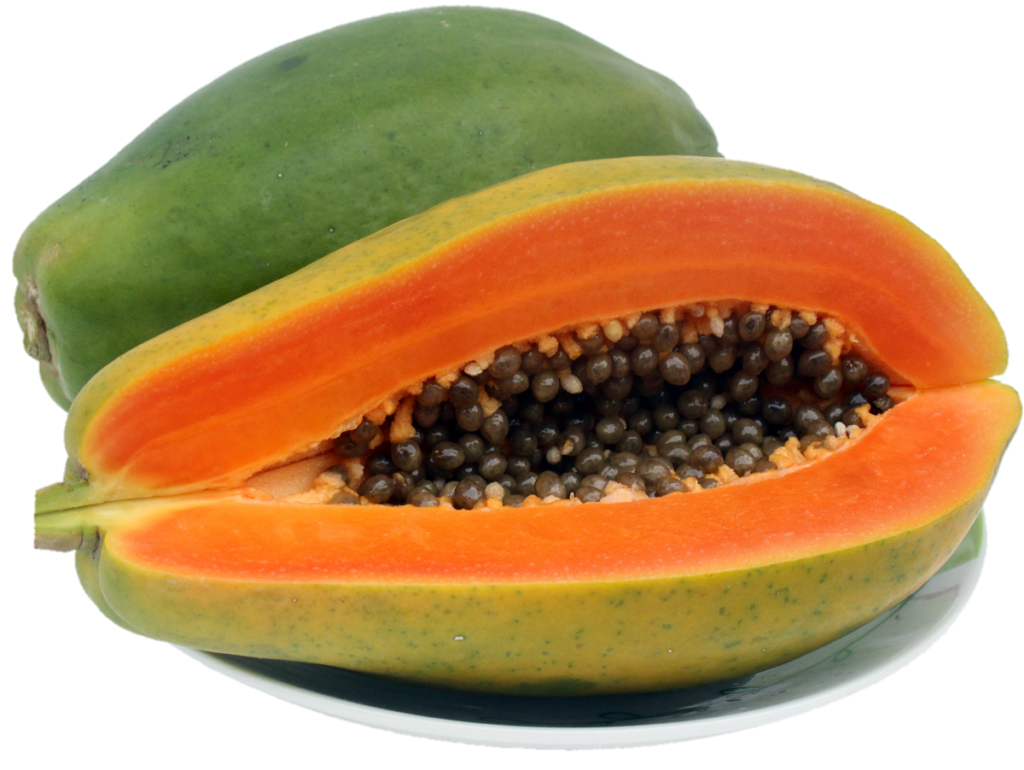 Fruit Papaya Png