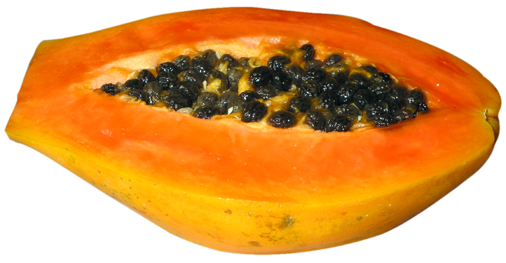 Fresh Papaya Png