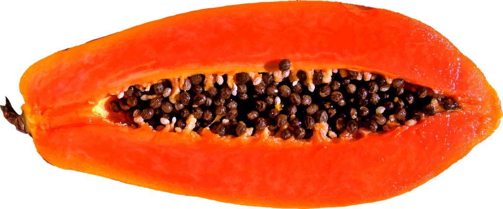 Orange Papaya Png