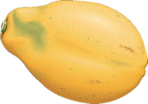 papaya-17