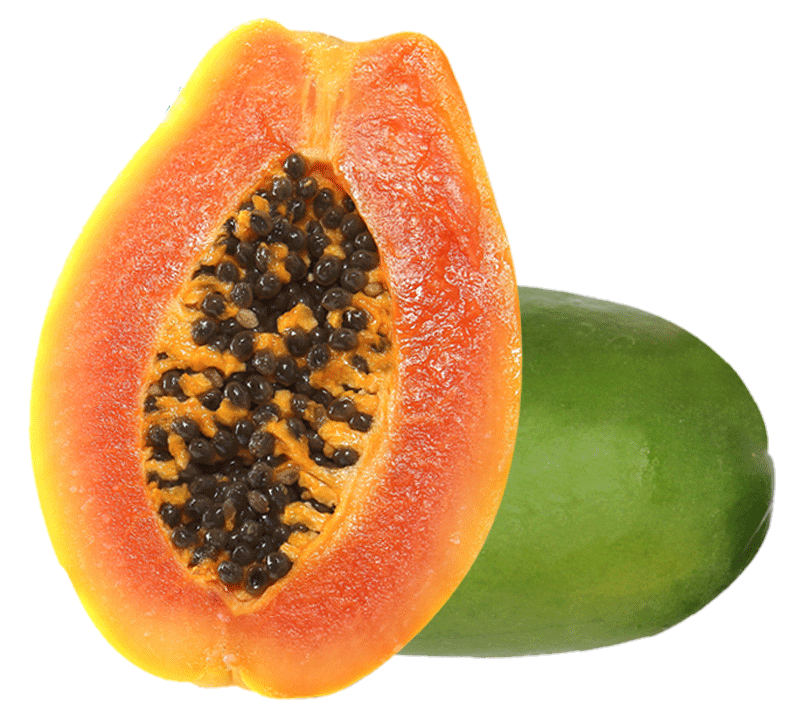 Fruit Papaya Png