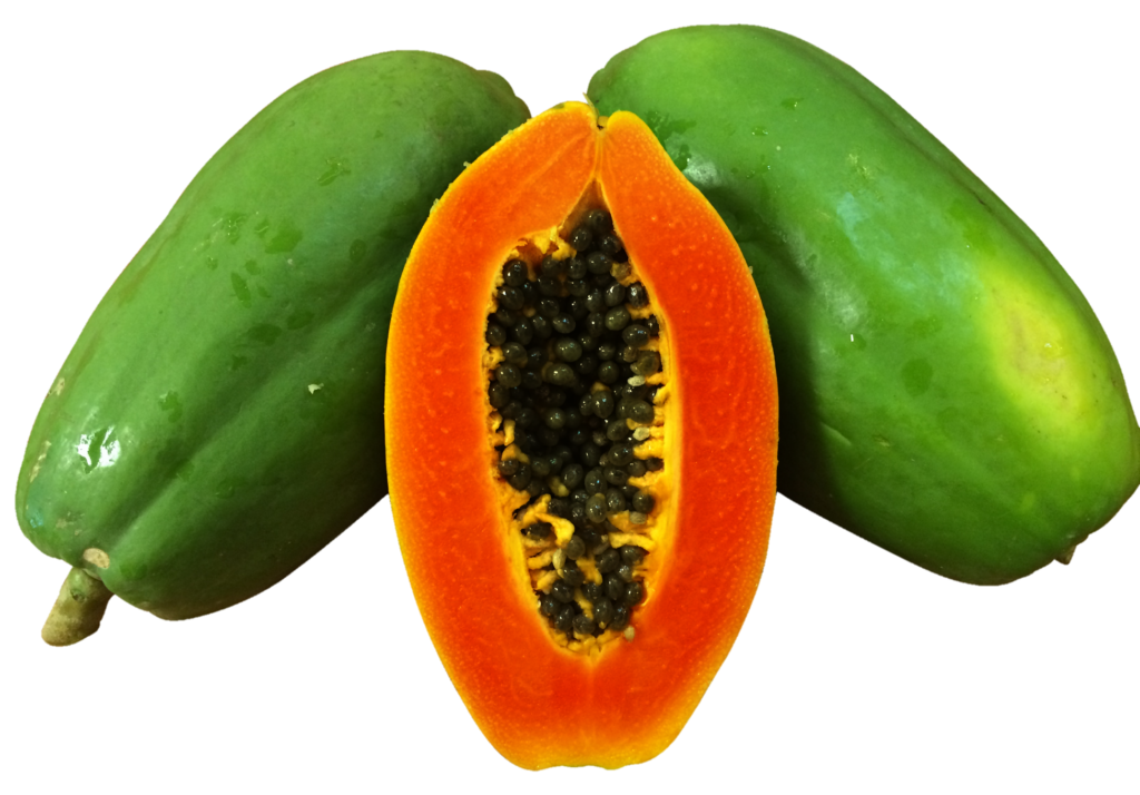 Papaya Png with Transparent Background 
