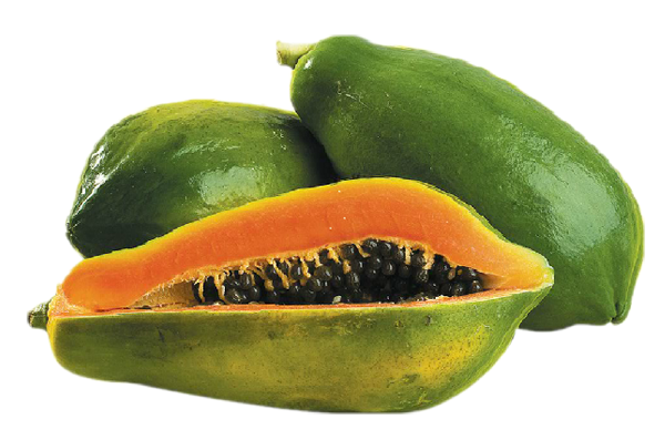 Green Papaya Png
