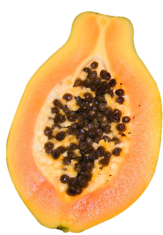 Half Papaya Png