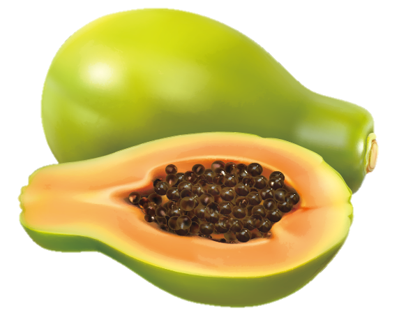 papaya-30